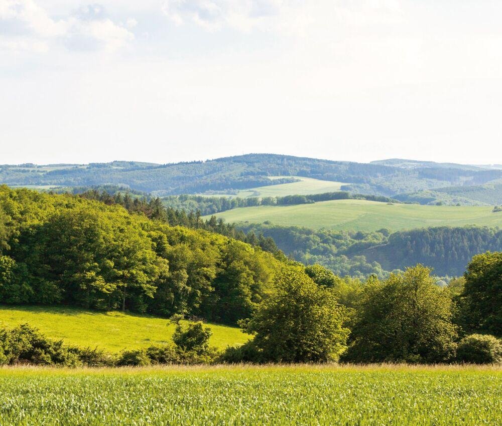 Urlaub im Hunsrück